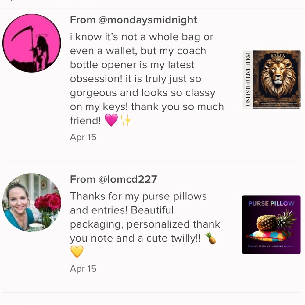 🍍LEGACY THEMED 7/PK PURSE PILLOWS🦁 🌈🐴🌈🐴 🌈🐴🦖🦖🌈🐴 🌈🐴🌈🐴 - Picture 12 of 16